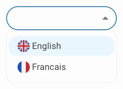 report generator choose language